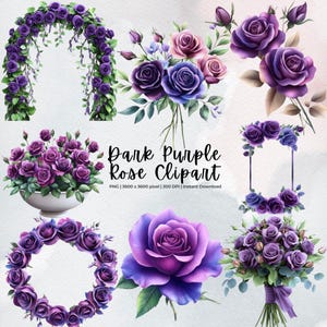 Conjunto de clipart de casamento de rosas roxas escuras, PNG floral em aquarela, clipart de flores românticas para convites, arco, bordas, guirlandas, uso comercial