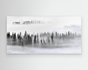 Foggy Forest by Mei Xu