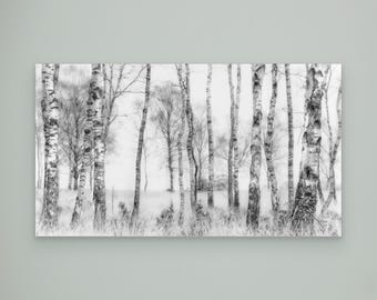 Black and white by Nel Talen