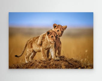 Brothers for Life by Jeffrey C Sink