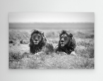Two kings by Nicolás Merino