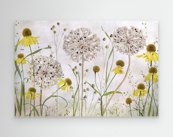 Alliums and heleniums by Mandy Disher