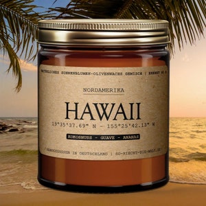 Hawaii scented candle - coconut | Guava | pineapple