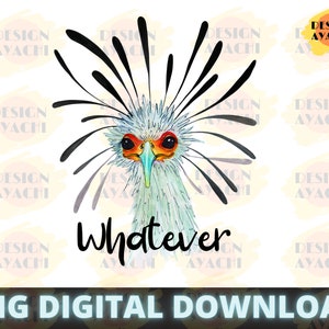 May include: A digital download of a watercolor illustration of a bird with a white and blue body, black feathers, and orange and red eyes. The bird is looking to the right and the text "Whatever" is written below the bird.