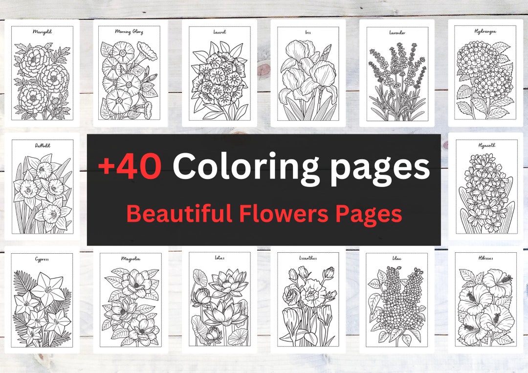 Bloemenkleurboek: 40+ botanische pagina's voor volwassenen en kinderen  (pdf) - Etsy België, image size:1080x763