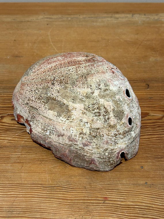 Abalone Shell Trinket/Jewelry/Soap Dish - image 8