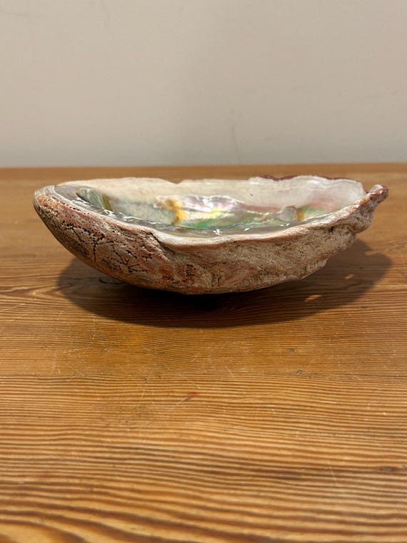 Abalone Shell Trinket/Jewelry/Soap Dish - image 1