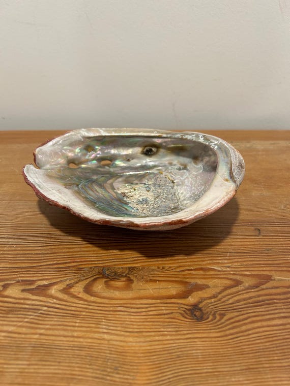 Abalone Shell Trinket/Jewelry/Soap Dish - image 5