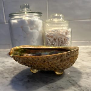 Large Vintage Abalone Shell Footed Bowl Dish | Jewelry Dish | Trinket Dish | Soap Dish
