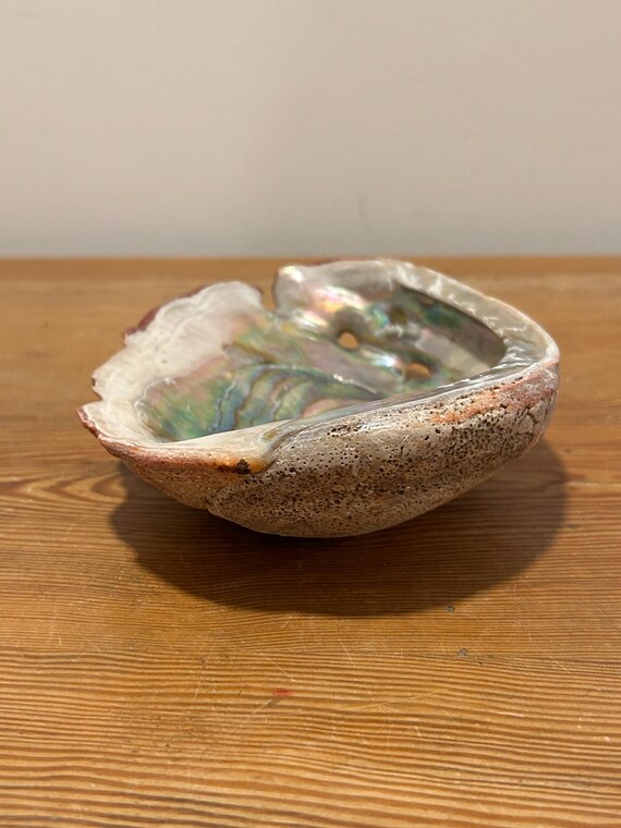 Abalone Shell Trinket/Jewelry/Soap Dish - image 4