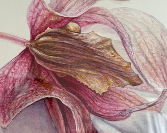 The Last Beauty. Botanical art. Orchid. Watercolour painting. Original.  40 cm x 30 cm