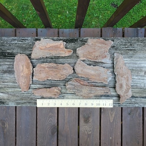 Pine Bark 8 pieces various sizes - Box D