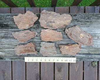 Pine Bark 8 pieces various sizes - Box B