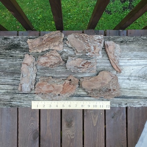 Pine Bark 8 pieces various sizes - Box C