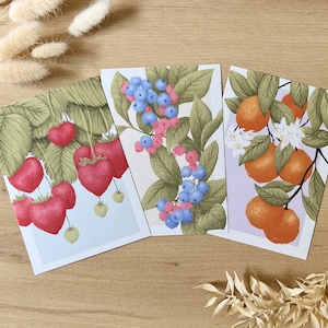 Ensemble de cartes postales avec illustrations de fruits pour cadeaux ou décoration murale moderne