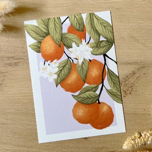Orangen Illustration Postkarte A6 - Sommer Grußkarte Kunstdruck Früchte Aquarell Karte Citrus Kunst Vintage Obst Post Card Geschenk
