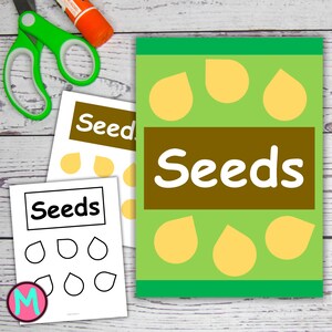 Könnte beinhalten: Eine druckbare Bastelvorlage für Kinder mit einem Saatgutpaket, auf dem das Wort "Seeds" steht. Das Paket hat einen grünen Hintergrund mit einem braunen Etikett und gelben Samenformen. Es gibt zwei druckbare Blätter mit dem Wort "Seeds" und Umrissen von Samenformen zum Ausmalen.