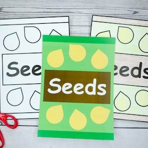 Seed Packet Craft Template for Kids, Cut and Glue Activity for ...