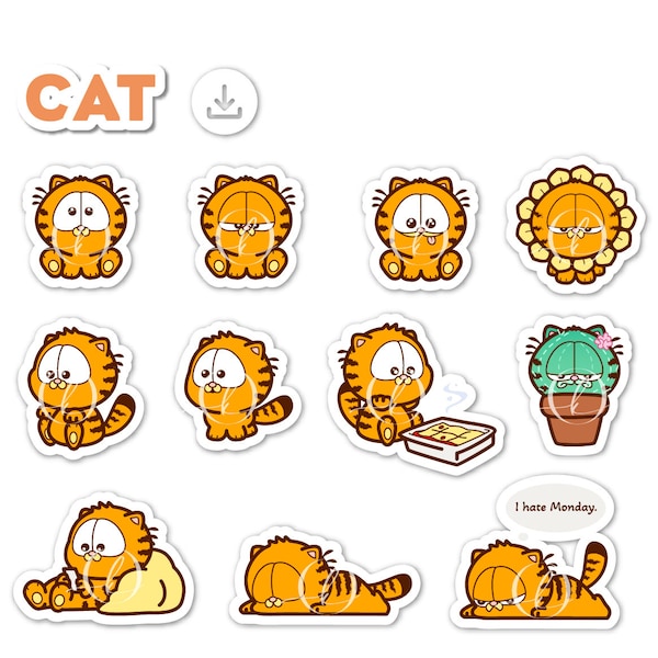 11 Ginger Kitty Cat