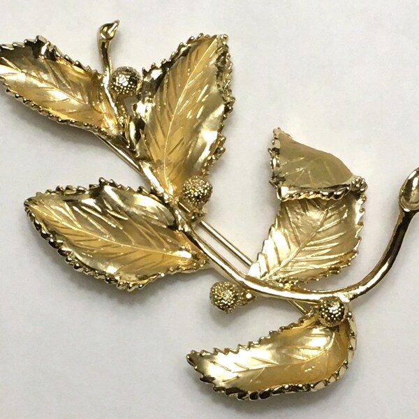 Vintage Signed Coro Leaf and Berry Brooch, Large Gold tone Textured Pin | Nature, Plant Theme Jewelry