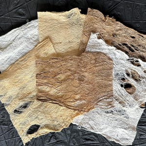 Corteccia di gelso Flexi (Mini Mix) 50 g./1,8 oz