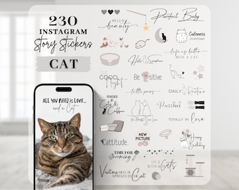 Instagram Story Sticker Cat | Pets | Kitten | Love | Storysticker | Haustier | Katze | Cats | Digital | Instagram Elements | PNG Stories