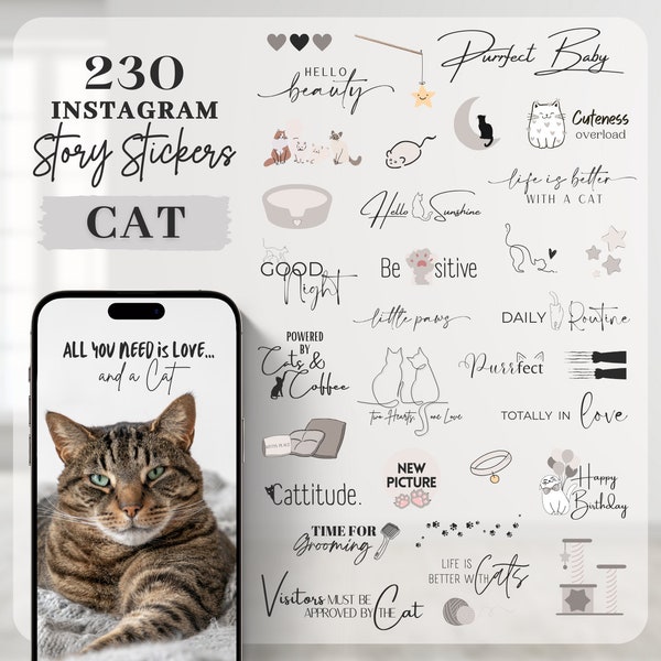 230 Instagram Story Sticker Cat | Pets | Kitten | Love | Storysticker | Haustier | Katze | Cats | Digital | Instagram Elements | PNG Stories