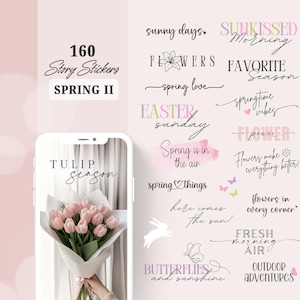 Instagram Story Sticker Spring II | Ostern Storysticker | Frühling Story Sticker | Digital Stickers Words | Instagram Sticker Blumen