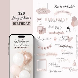 Instagram Story Sticker Birthday | Celebration | Cake | Storysticker | Digital Stickers | Instagram Elements | Lettering Planner | Party