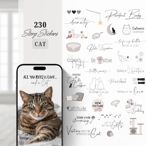 230 Instagram Story Sticker Cat | Pets | Kitten | Love | Storysticker | Haustier | Katze | Cats | Digital | Instagram Elements | PNG Stories