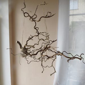 Hängeast Hängedeko Korkenzieher Hasel Deko Fensterdeko Naturdeko Fenster Deko Hängedeko Hängeast