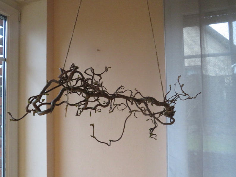 Hängedeko Korkenzieher Hasel Ast Fensterdeko Frühling Deko Etsy.de