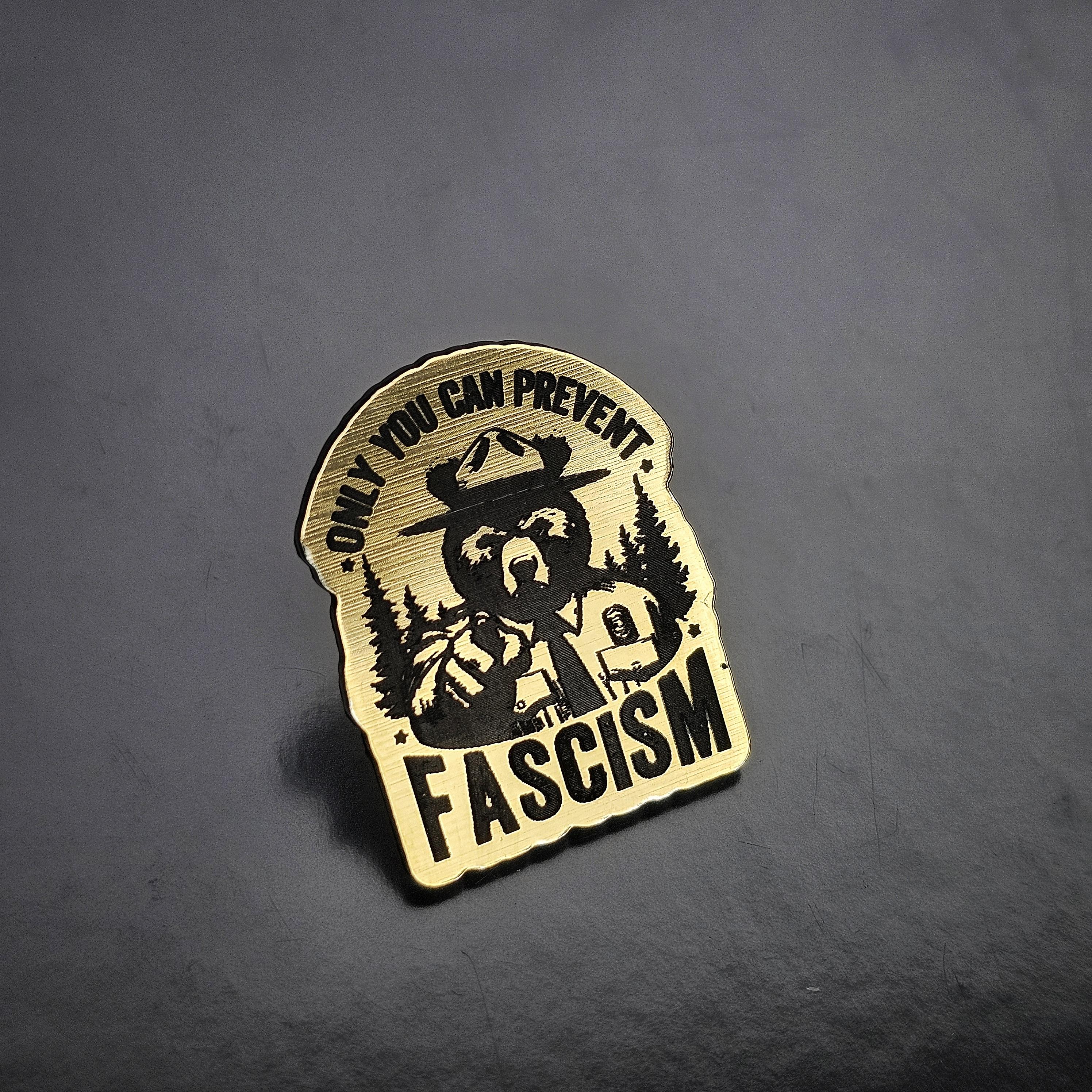 Only You Can Prevent Fascism Bear Pin, Political accessories, human rights gifts, Anti-fascist pin