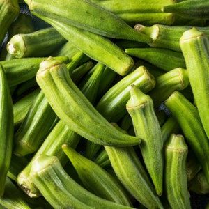 Heirloom Anatolia Seeds  Okra Seeds Non-GMO Organic