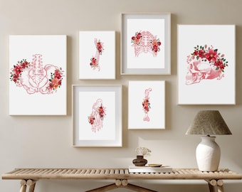 Set de láminas florales anatómicas, cuerpo humano, ilustración de huesos (descarga digital)