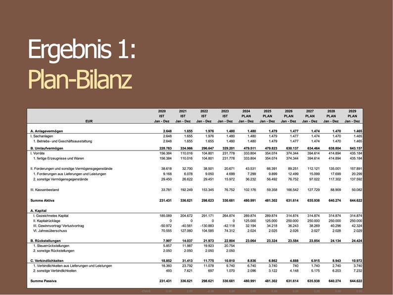 Balance Sheet Planning - Template for the 5-year Planning of the ...