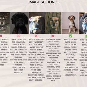 K&ouml;nnte beinhalten: Bildrichtlinien f&uuml;r das Fotografieren von Haustieren f&uuml;r ein Portr&auml;t. Das Bild zeigt sechs verschiedene Fotos von Hunden, wobei jedes Foto mit einem H&auml;kchen oder einem Kreuz versehen ist. Der Text beschreibt, was ein gutes Foto ausmacht und was zu vermeiden ist.