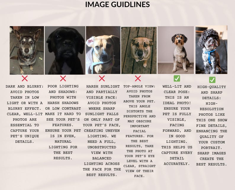 K&ouml;nnte beinhalten: Bildrichtlinien f&uuml;r das Fotografieren von Haustieren f&uuml;r ein Portr&auml;t. Das Bild zeigt sechs verschiedene Fotos von Hunden, wobei jedes Foto mit einem H&auml;kchen oder einem Kreuz versehen ist. Der Text beschreibt, was ein gutes Foto ausmacht und was zu vermeiden ist.