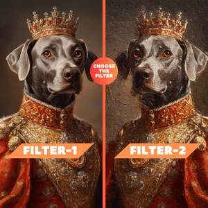 May include: Two digital portraits of a dog wearing a crown and royal attire. The dog has brown eyes and a gray coat. The text "CHOOSE THE FILTER" is in a circle between the two images. Below each image is the text "FILTER-1" and "FILTER-2" in an orange banner.