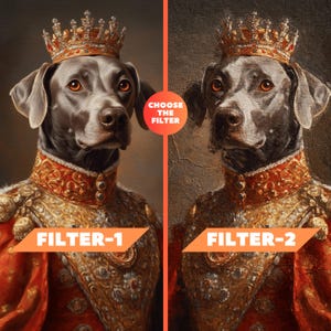 K&ouml;nnte beinhalten: Ein nebeneinander Vergleich von zwei digitalen Filtern, die auf ein Portr&auml;t eines Hundes angewendet werden, der eine goldene Krone und eine rote und goldene k&ouml;nigliche Robe tr&auml;gt. Der Text "W&auml;hlen Sie den Filter" erscheint in der Mitte des Bildes. Das linke Bild ist mit "Filter-1" und das rechte Bild mit "Filter-2" beschriftet.