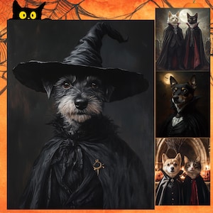 May include: A black and white dog wearing a black witch's hat and a black cape. The dog is looking directly at the camera. The background is black.
