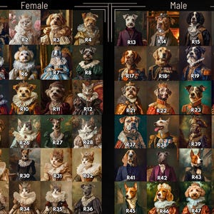 May include: A collection of portraits featuring dogs and cats dressed in regal attire, reminiscent of historical paintings. The images are divided into "Female" and "Male" sections, each showcasing various breeds in elaborate costumes.
