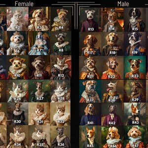 K&ouml;nnte beinhalten: Eine Collage aus 48 Bildern von Hunden und Katzen, die in k&ouml;niglicher Kleidung gekleidet sind. Die Bilder sind in einem Raster mit 8 Spalten und 6 Reihen angeordnet. Jedes Bild ist mit einem Buchstaben und einer Zahl gekennzeichnet, z. B. "R1" oder "R48".