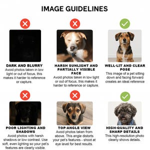 May include: Image guidelines for pet photography, featuring examples of what to avoid: dark and blurry photos, harsh sunlight, poor lighting, and top-angle views. Includes examples of well-lit and high-quality photos.