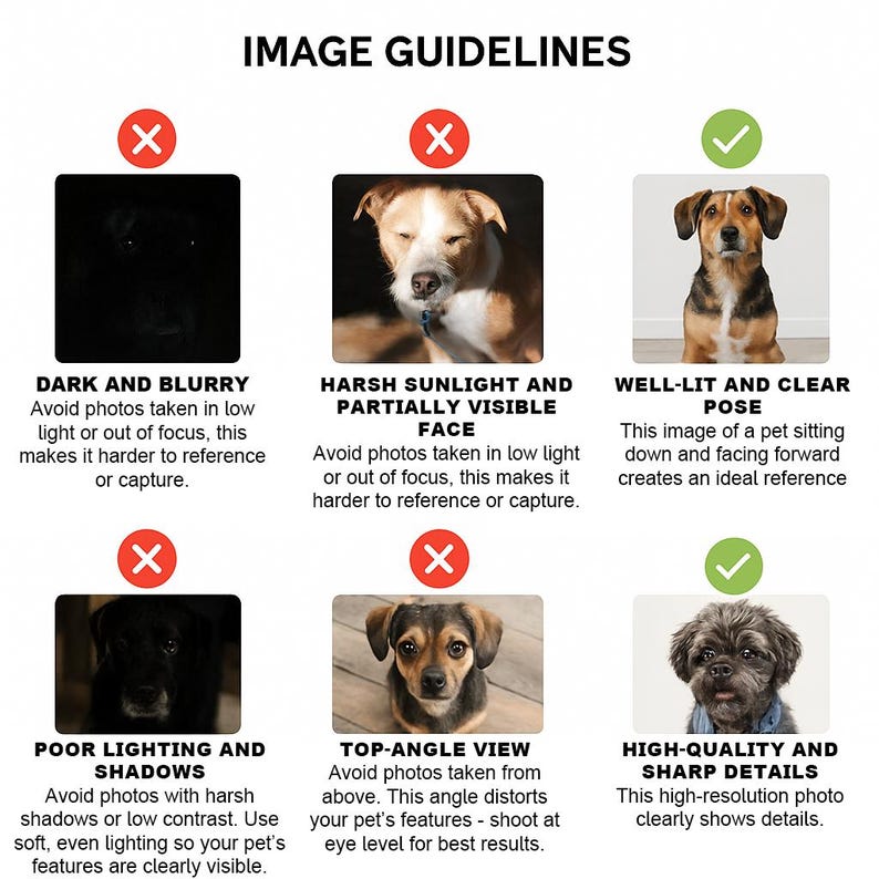 May include: Image guidelines for pet photography, featuring examples of what to avoid: dark and blurry photos, harsh sunlight, poor lighting, and top-angle views. Includes examples of well-lit and high-quality photos.