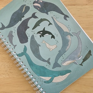 Reusable Sticker Book | Whale Design | Pattern A5 Sticker Collection Album | Sticker Organization