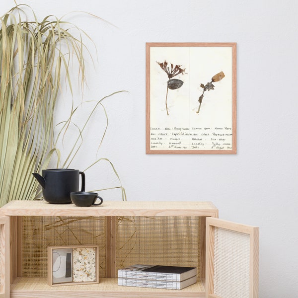 HERBARIUM PRINT #4 | fine art print, poster print, framed print, framed poster, vintage, wall art, home décor, interior décor