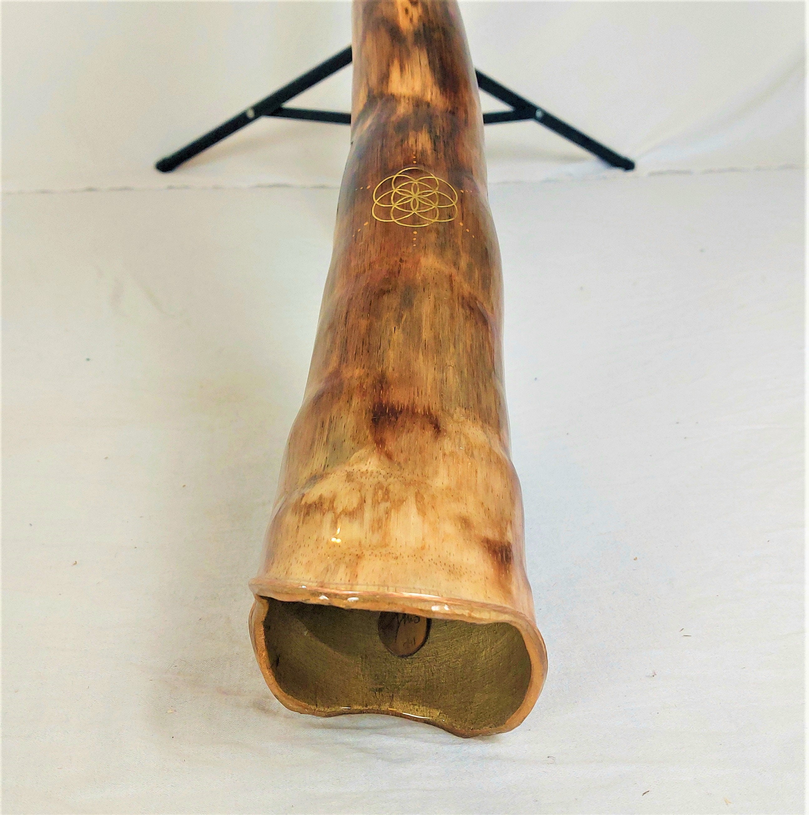 Etsy didgeridoo deals