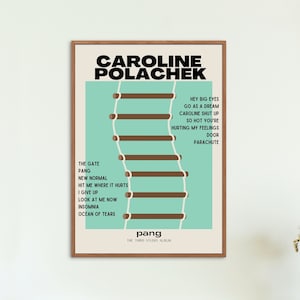 Vintage Caroline Polachek Pang Album Poster, Caroline Polachek Pang Tour Aesthetic Poster, Pop Indie Music Lovers, Trendy Wall Art Print
