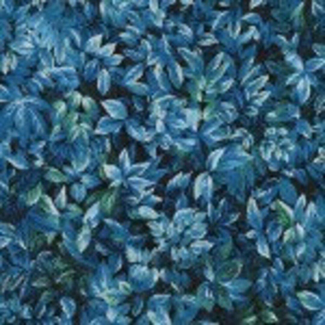 In the Moonlight by Robert Kaufman 2002044 by the Yard and Free